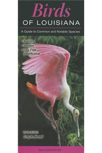 Birds of Louisiana