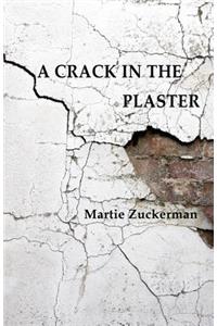 A Crack in the Plaster