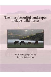 most beautiful landscapes include wild horses