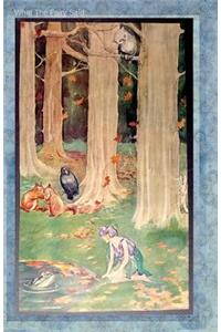 What The Fairy Said...