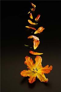 Petals Notebook