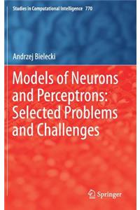 Models of Neurons and Perceptrons: Selected Problems and Challenges