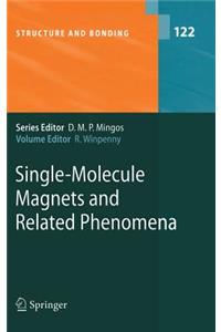 Single-Molecule Magnets and Related Phenomena