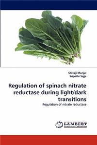 Regulation of Spinach Nitrate Reductase During Light/Dark Transitions