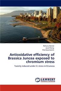 Antioxidative efficiency of Brassica Juncea exposed to chromium stress