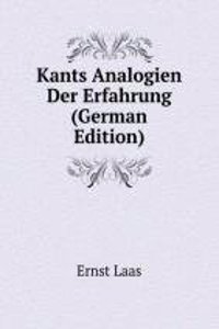 Kants Analogien Der Erfahrung (German Edition)