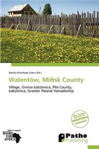 Walent W, Mi Sk County