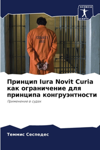 Принцип Iura Novit Curia как ограничение для принципа к