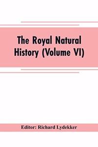 royal natural history (Volume VI)