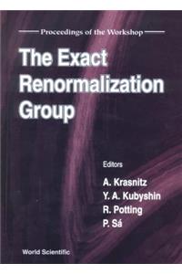 Exact Renormalization Group, the - Proceedings of the Workshop