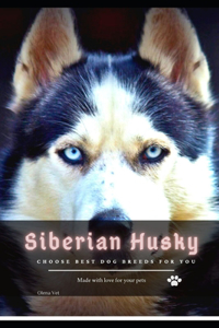 Siberian Husky