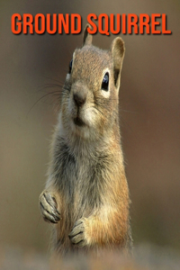 Ground Squirrel