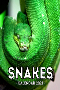 Snake Calendar 2021