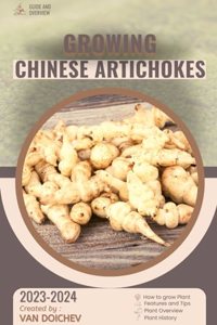 Chinese Artichokes