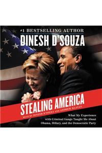Stealing America
