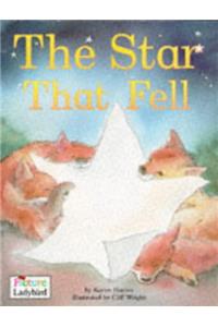The Star That Fell (Picture Ladybirds)