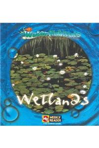 Wetlands / Terrenos Pantanosos