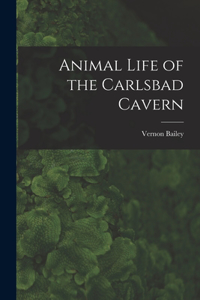 Animal Life of the Carlsbad Cavern