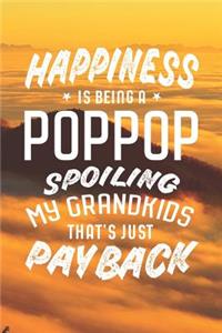 Happiness Is Being A Poppop Spoiling My Grandkids That's Just Payback