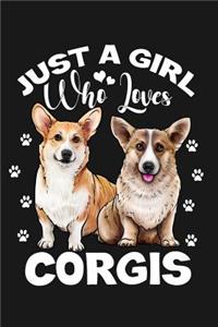 Just a Girl Who Loves Corgis