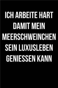 Ich Arbeite Für Meerschweinchen