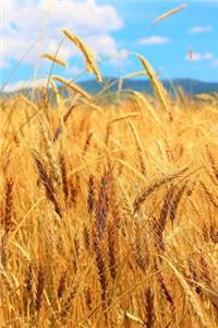 A Beautiful Field of Golden Grains Journal