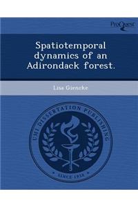 Spatiotemporal Dynamics of an Adirondack Forest