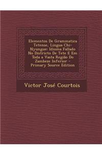 Elementos de Grammatica Tetense, Lingua Chi-Nyungue