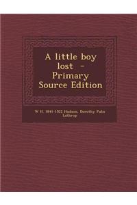 A Little Boy Lost