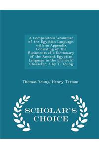 Compendious Grammar of the Egyptian Language. with an Appendix Consisting of the Rudiments of a Dictionary of the Ancient Egyptian Language in the Enchorial Character, 3 by T. Young - Scholar's Choice Edition