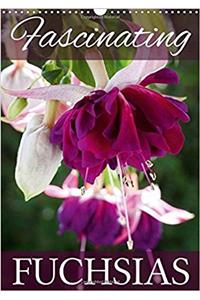 Fascinating Fuchsias 2017