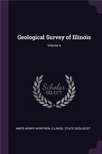 Geological Survey of Illinois; Volume 6