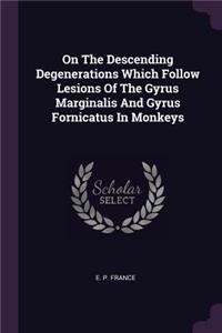 On The Descending Degenerations Which Follow Lesions Of The Gyrus Marginalis And Gyrus Fornicatus In Monkeys