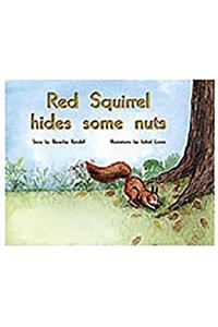 Red Squirrel Hides Some Nuts