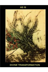 AS IS-Divine Transformation