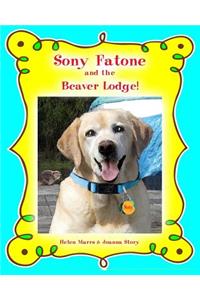 Sony Fatone and the Beaver Lodge