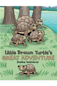 Little Brown Turtle's Great Adventure