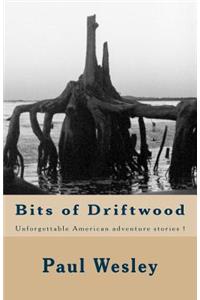 Bits of Driftwood