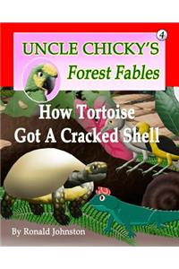 How Tortoise Got A Cracked Shell