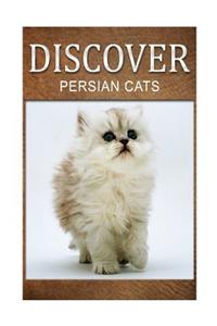 Persian Cats - Discover