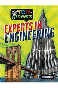 STEM-gineers: Experts of Engineering