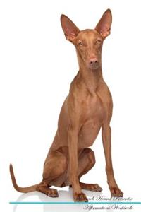 Pharaoh Hound Affirmations Workbook Pharaoh Hound Presents: Positive and Loving Affirmations Workbook. Includes: Mentoring Questions, Guidance, Supporting You.