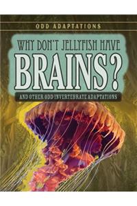 Why Don't Jellyfish Have Brains?