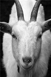Billy Goat Journal