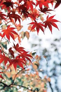 Asian Maple Leaf Notebook