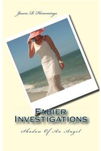 Fabier Investigations