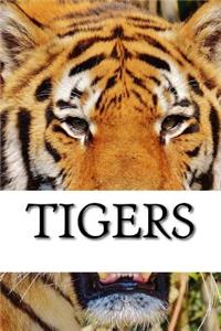 Tiger Journal