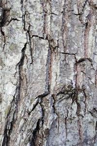 Journal Oak Bark