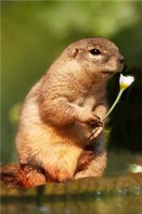 Sweet Tree Squirrel with a Flower Journal
