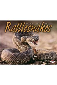 Rattlesnakes